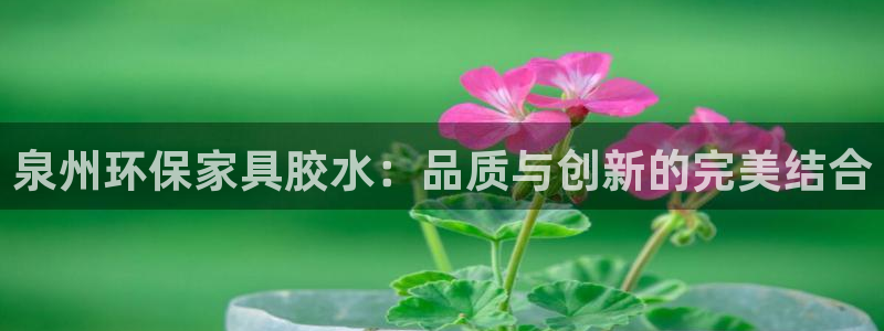 usdt有多少枚