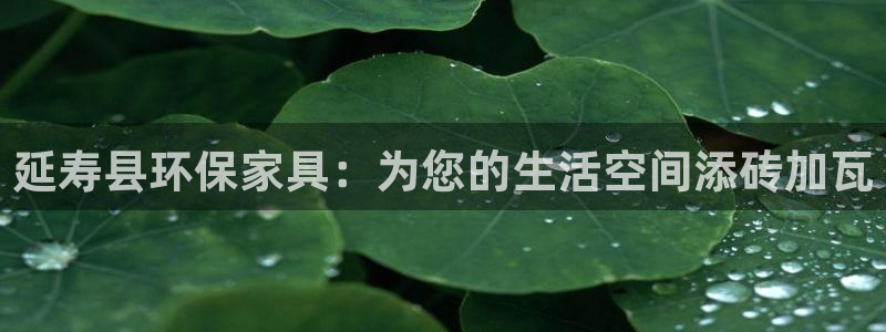 usdt交易平台合法吗