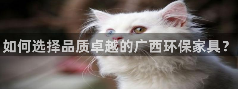 usdt钱包地址来一个
