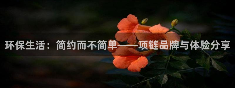 交易usdt被冻结